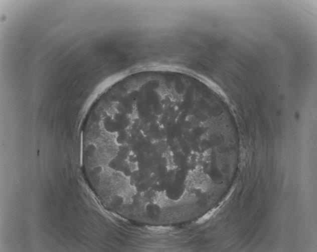 X0000080671223200612301352