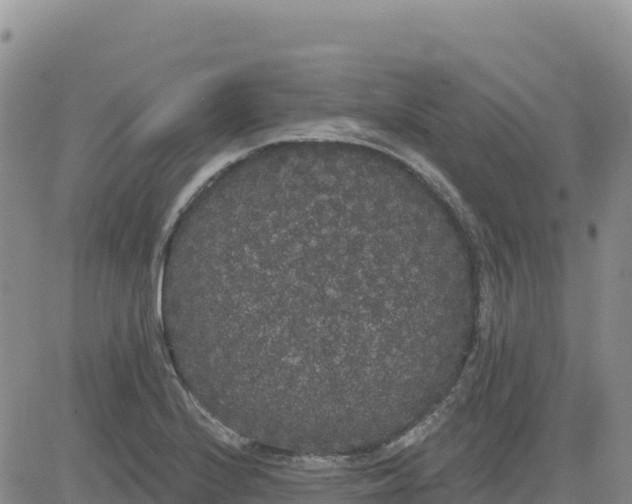 X0000080671224200612301352