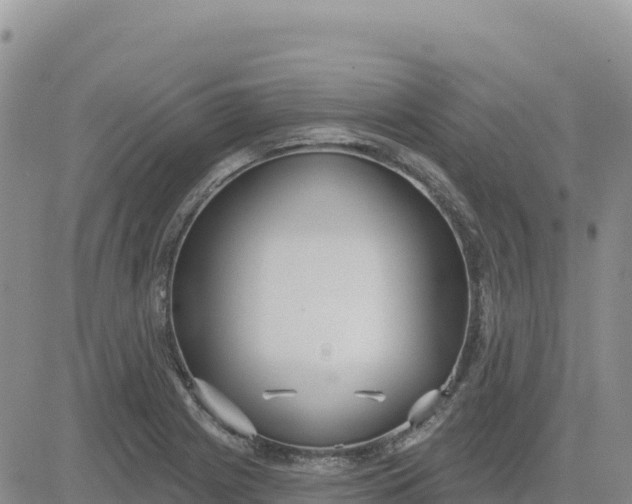 X0000080671225200612301352