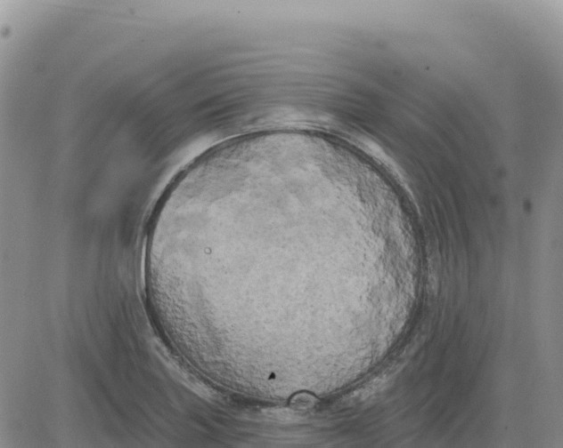 X0000080671227200612301352