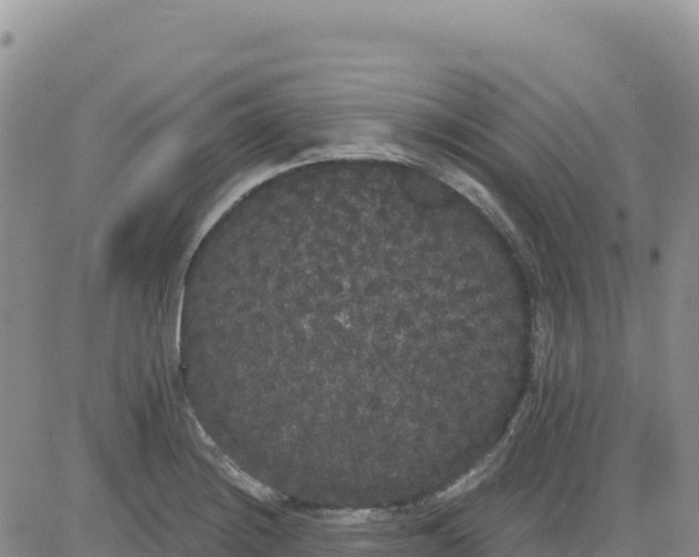 X0000080671228200612301352