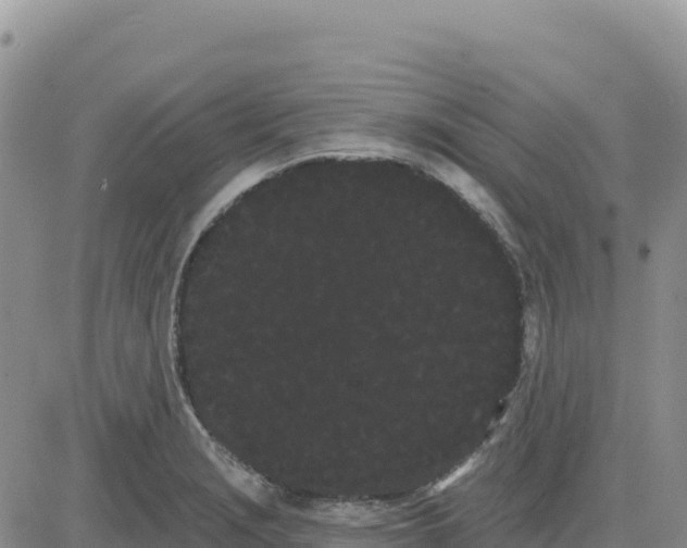 X0000080671229200612301352