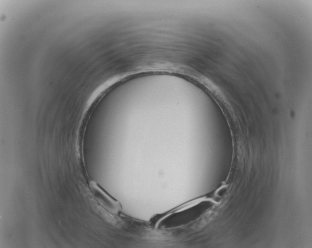 X0000080671230200612301352