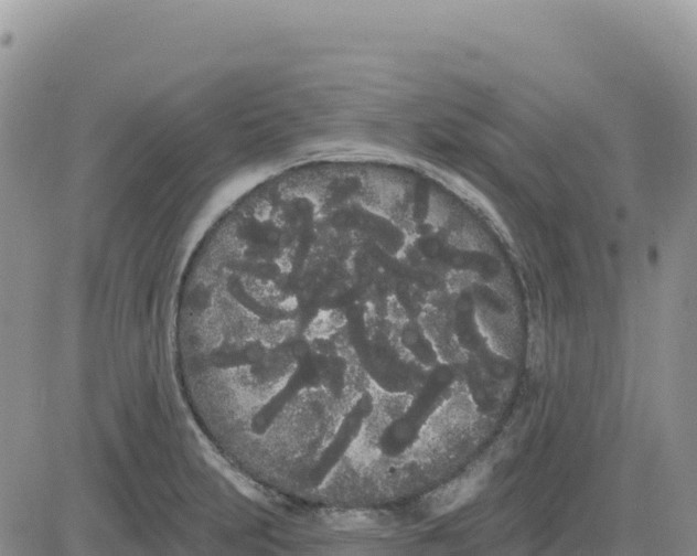 X0000080671231200612301352