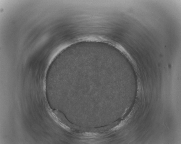 X0000080671232200612301352