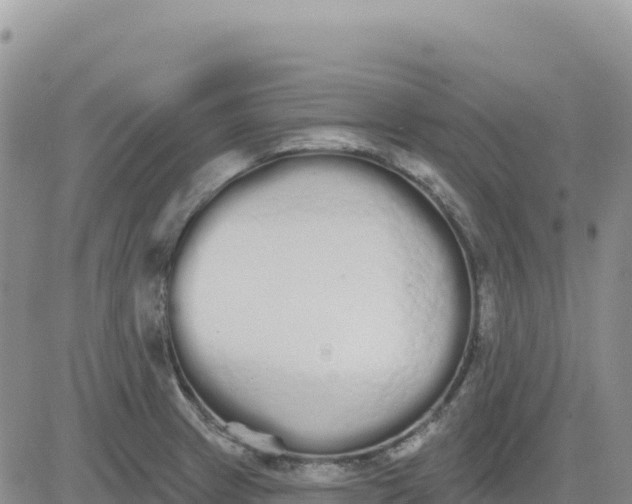 X0000080671233200612301352