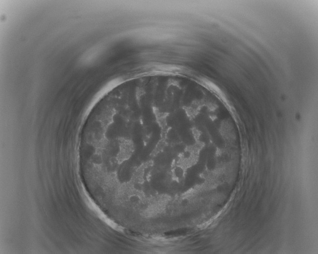 X0000080671235200612301352