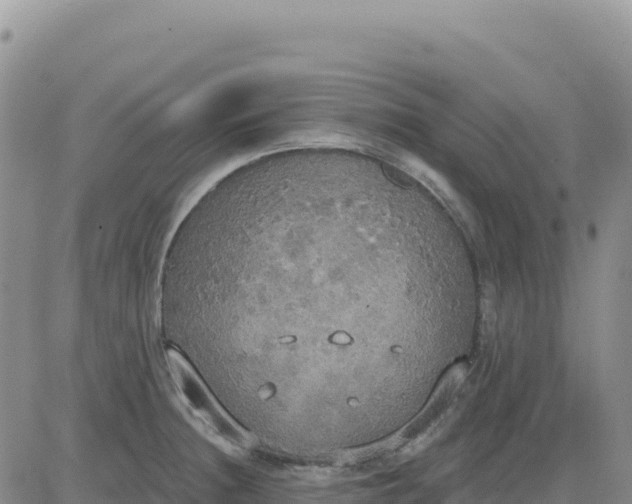 X0000080671236200612301352