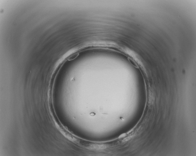 X0000080671237200612301352