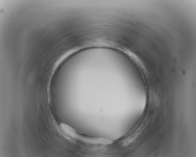 X0000080671238200612301352