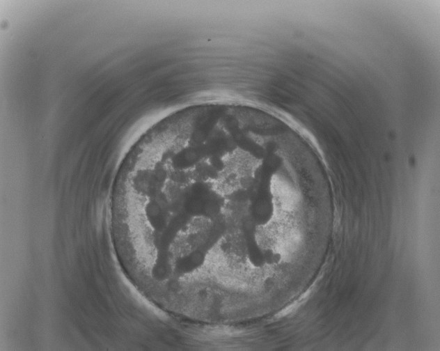 X0000080671239200612301352