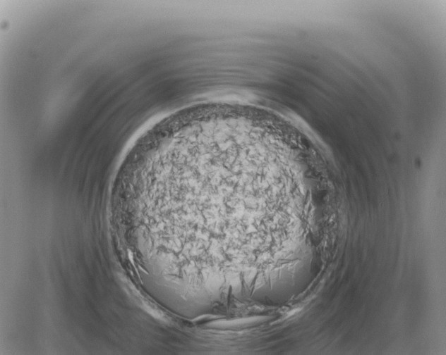 X0000080671240200612301352