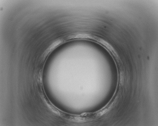 X0000080671241200612301352