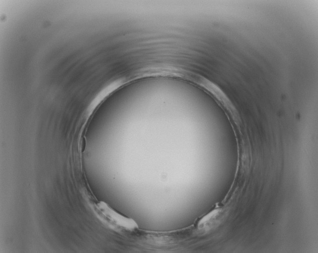 X0000080671242200612301352