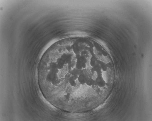 X0000080671243200612301352