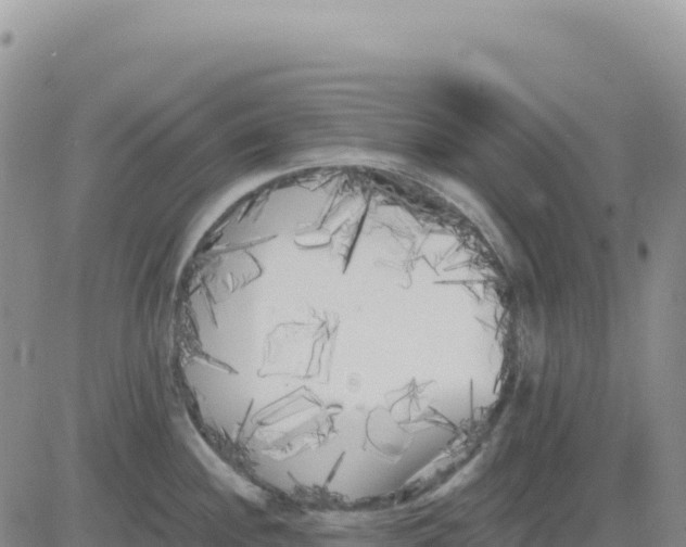 X0000080671244200612301352