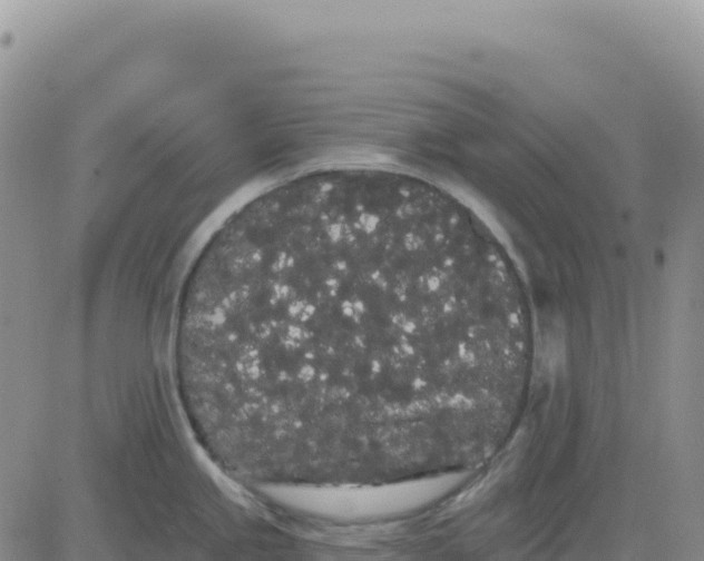 X0000080671245200612301352