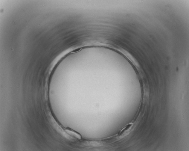 X0000080671246200612301352