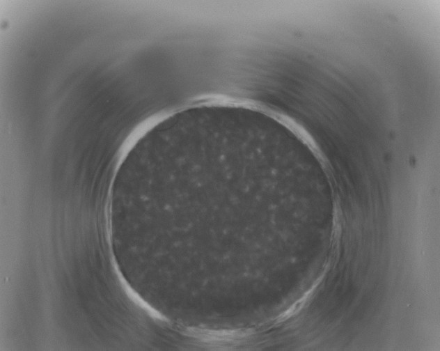 X0000080671247200612301352