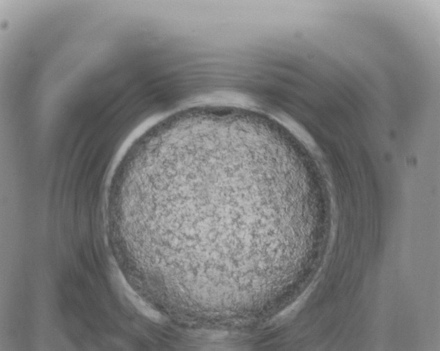 X0000080671248200612301352