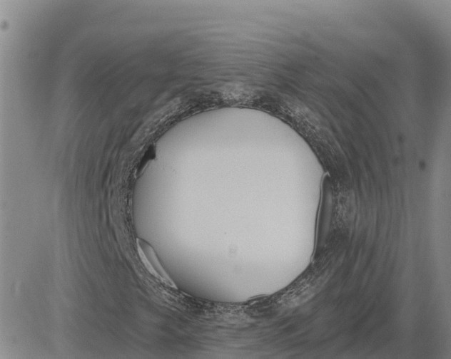 X0000080671249200612301351