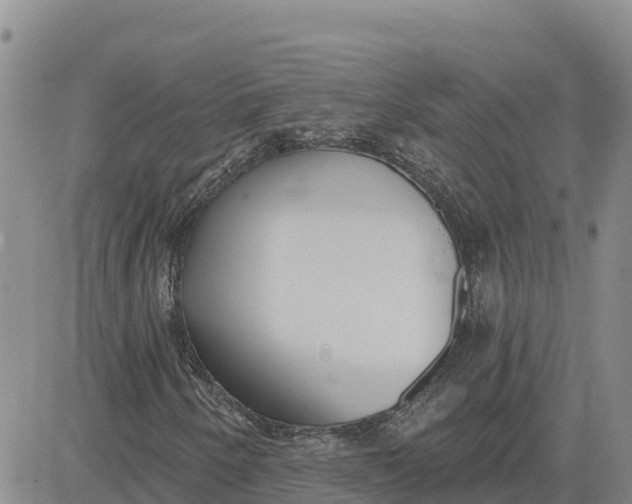 X0000080671250200612301351