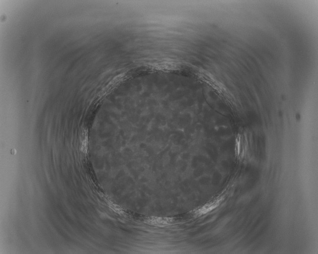 X0000080671251200612301351