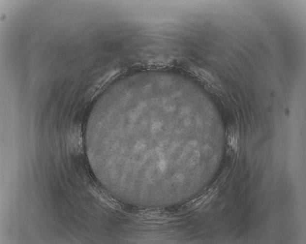 X0000080671252200612301351