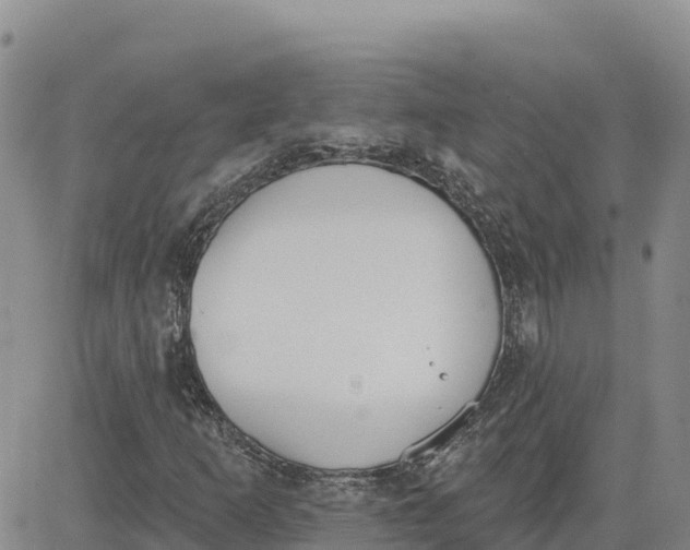 X0000080671253200612301351