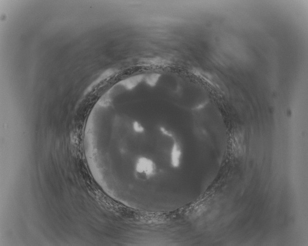 X0000080671254200612301351