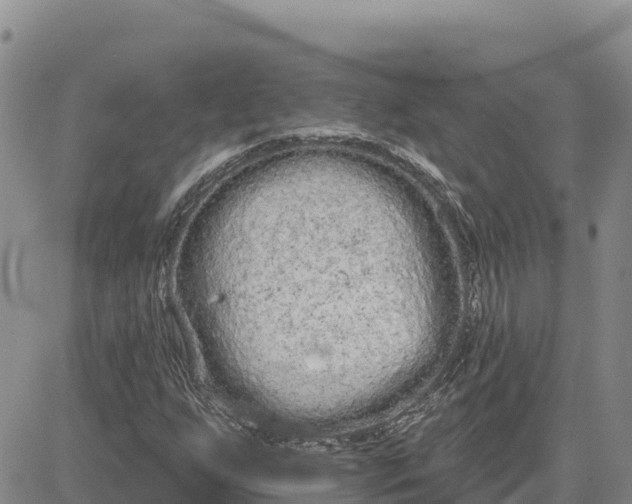 X0000080671255200612301351