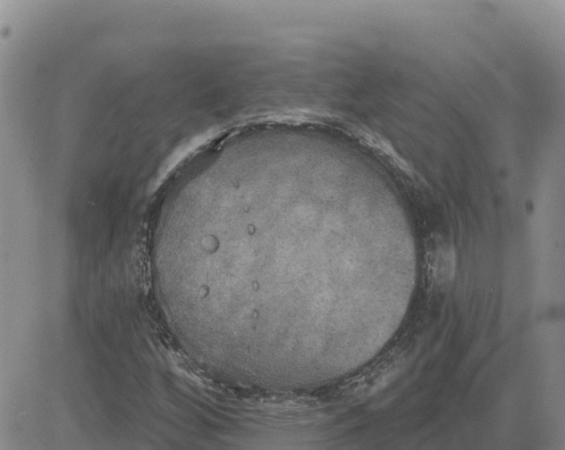 X0000080671256200612301351