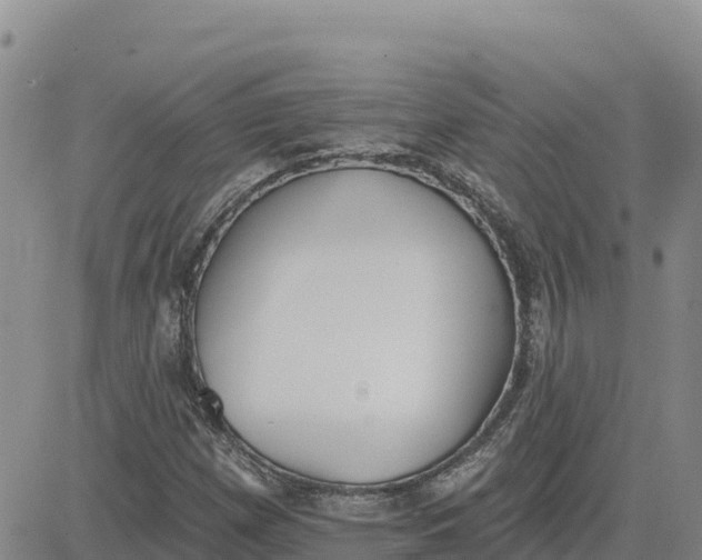 X0000080671257200612301351