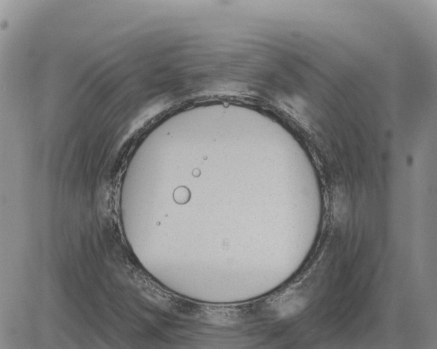 X0000080671258200612301351