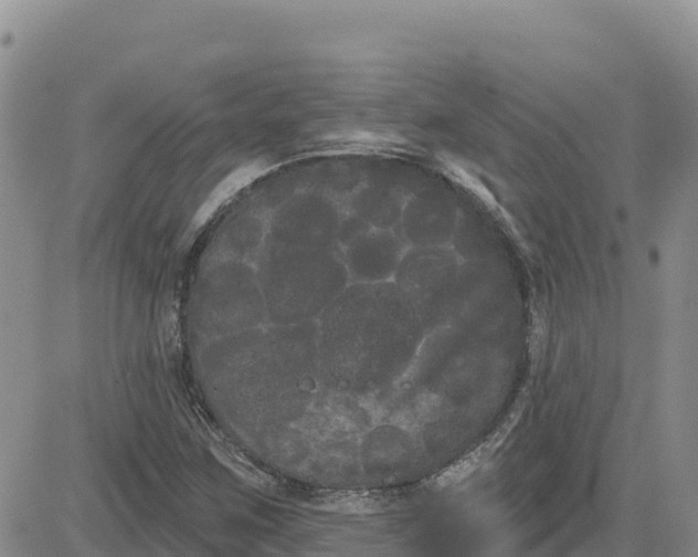 X0000080671259200612301351