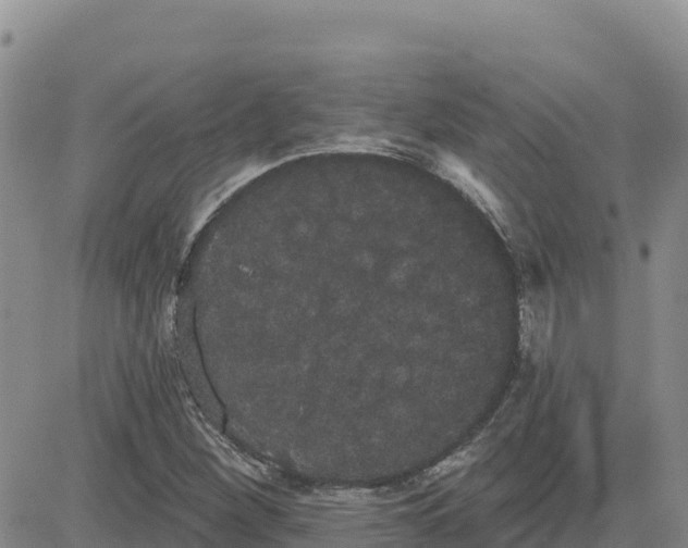 X0000080671260200612301351