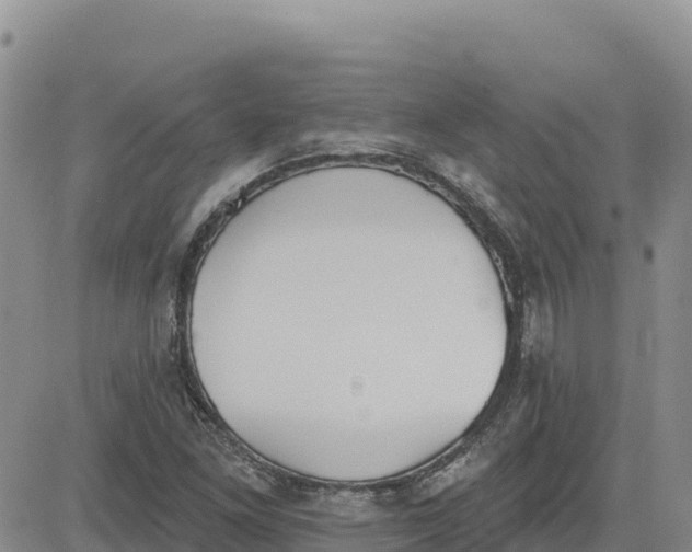 X0000080671261200612301351