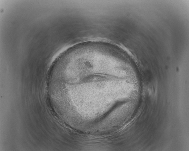 X0000080671263200612301351