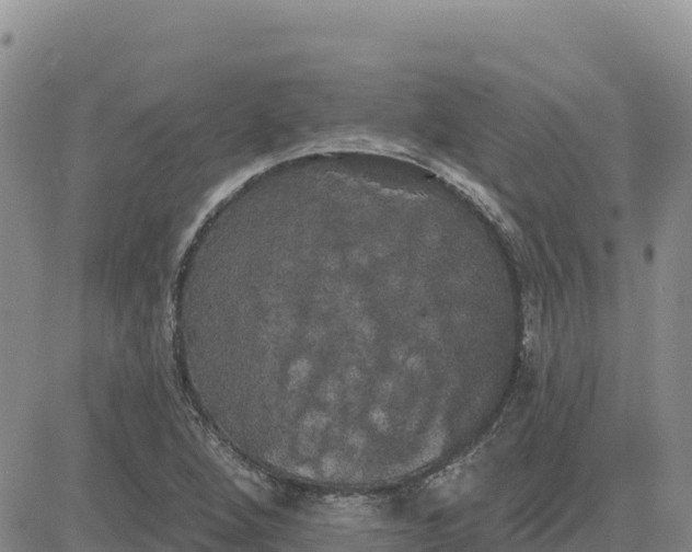 X0000080671264200612301351