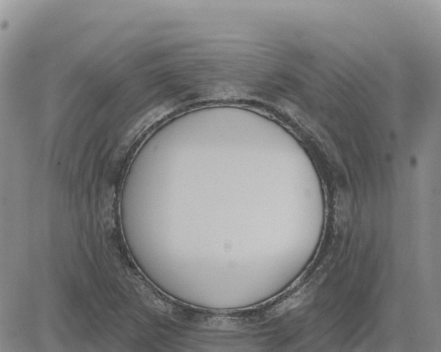 X0000080671265200612301351