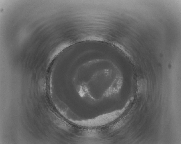 X0000080671266200612301351