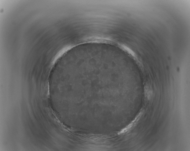 X0000080671267200612301351