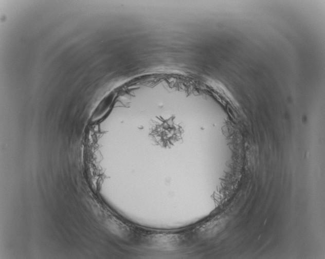 X0000080671268200612301351