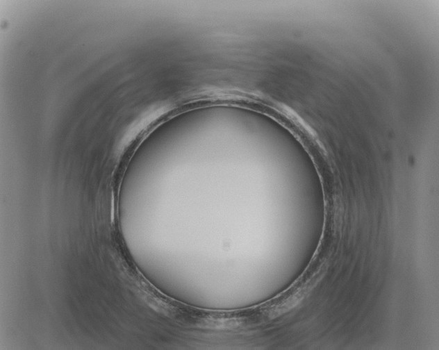 X0000080671269200612301351