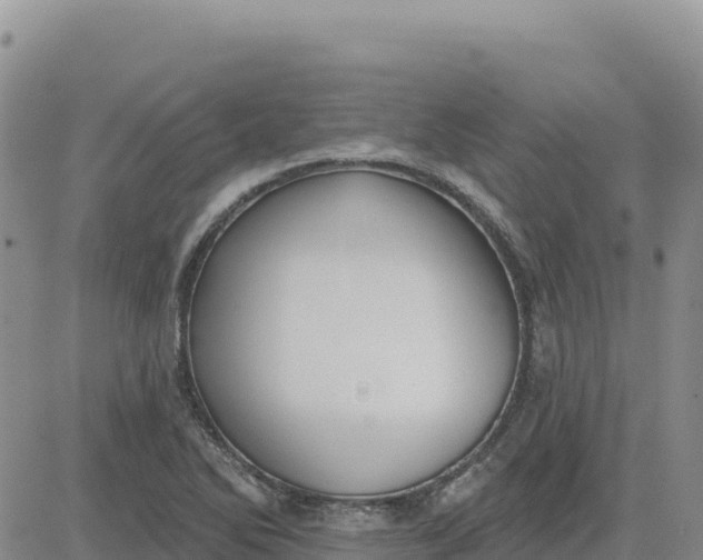 X0000080671270200612301351