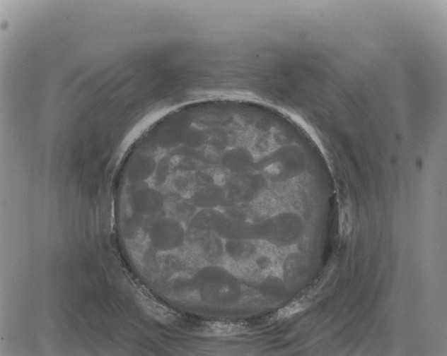 X0000080671271200612301351