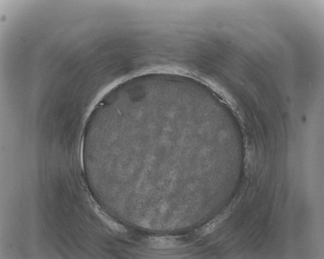 X0000080671272200612301351