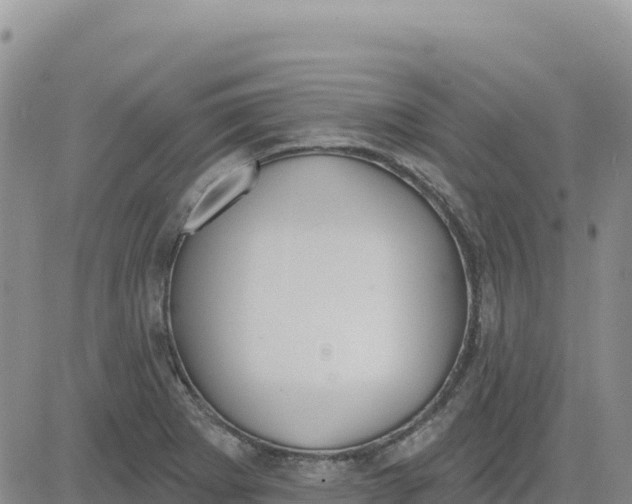 X0000080671273200612301351