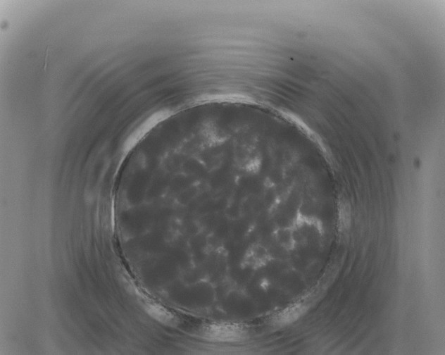 X0000080671274200612301351