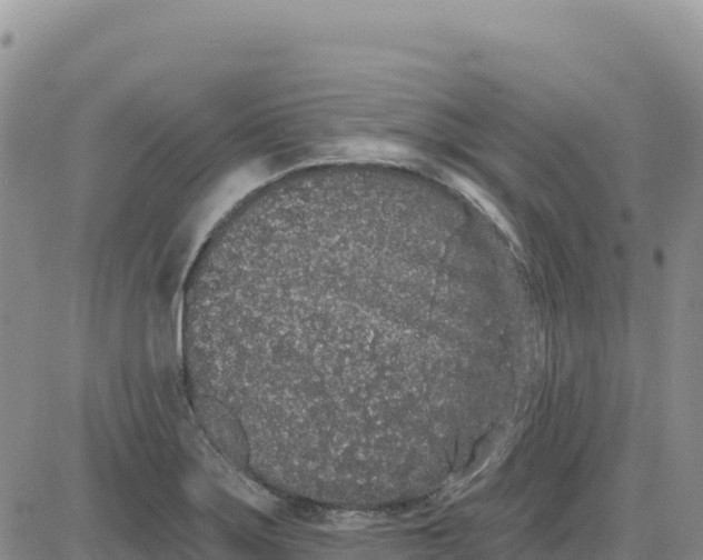 X0000080671275200612301351